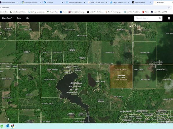 Big Stone Lake Rd, Evart, MI 49631