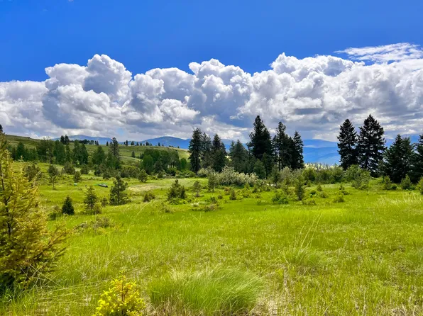 Tbd Big Goosmus Creek Rd, Curlew, WA 99118