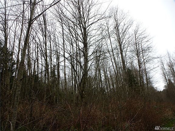 3rd image of 24921 Briarwood Ct
