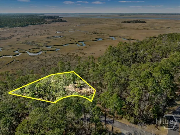 Lot 138 Sapelo Circle NE, Townsend, GA 31331