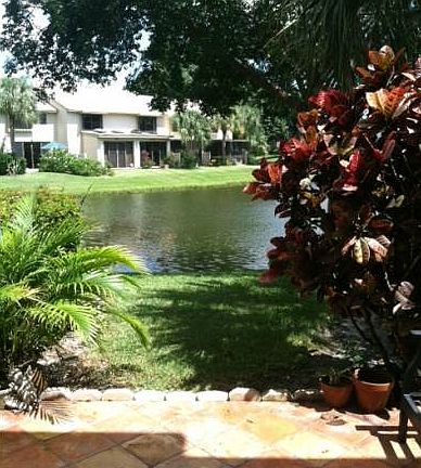 Back patio