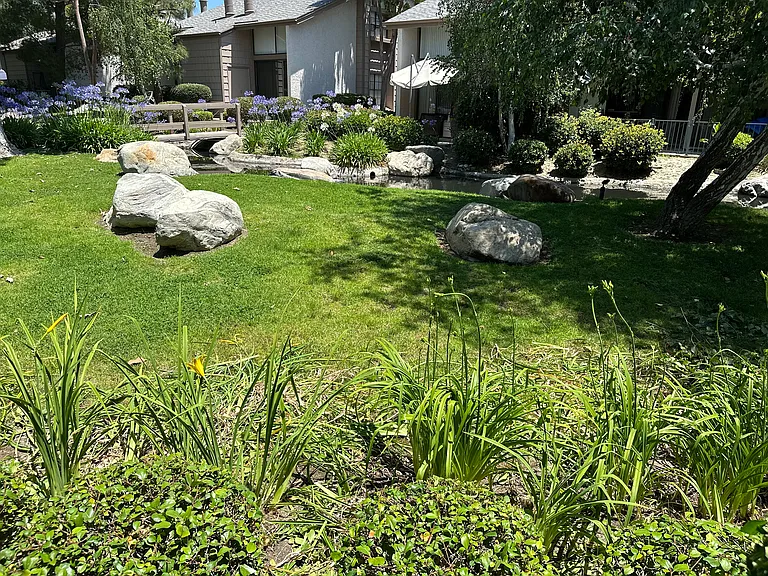 26701 Quail Crk #251 — Photo 9