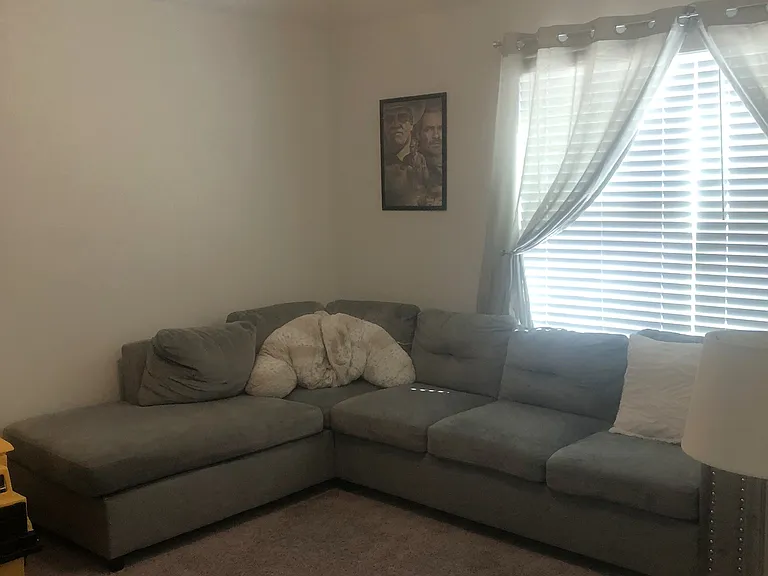 7087 Hanford Dr — Photo 13