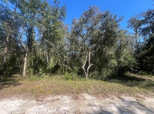 Slingshot Dr LOT 7, Webster, FL 33597