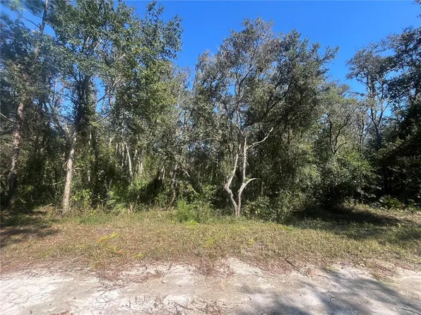 Slingshot Dr Lot 7, Webster, FL 33597