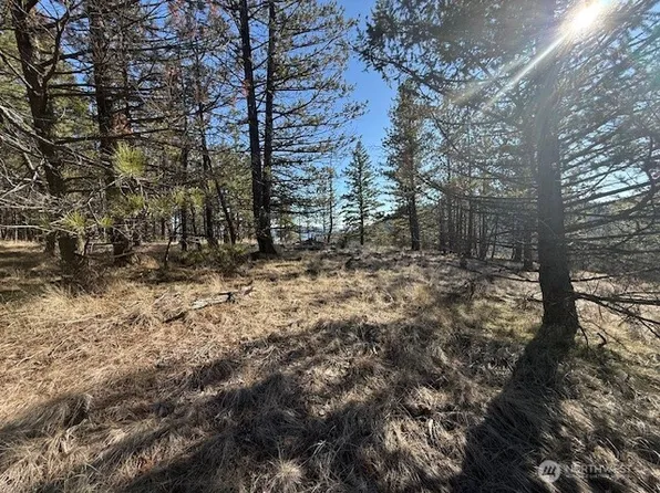 171 Garrett, Tonasket, WA 98855