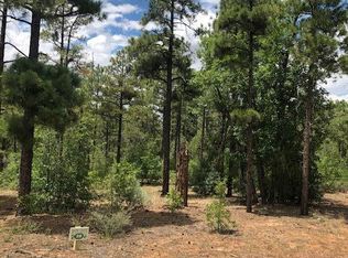 1781 W Snow Creek Loop, Show Low, AZ 85901