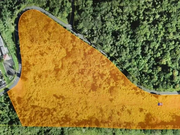 Carr 185 Lote F Bo Carruzos, Carolina, PR 00987