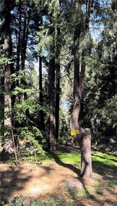 0 Jobs Peaks Rd, Cedarpines Park, CA, 92322