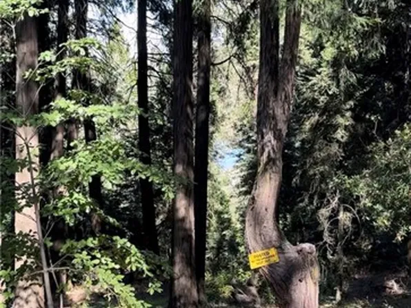 0 Jobs Peaks Rd, Cedarpines Park, CA 92322