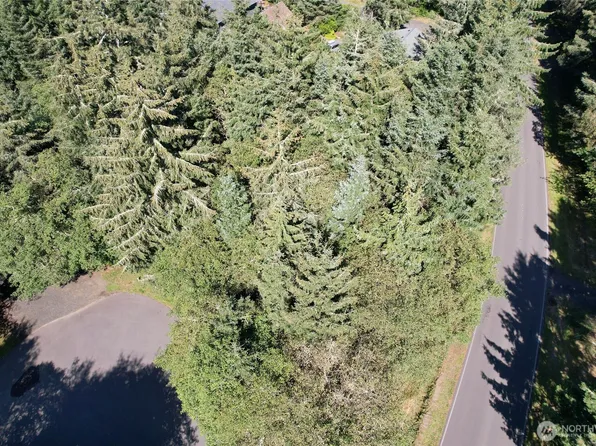 765 Duck Lake Drive SE, Ocean Shores, WA 98569