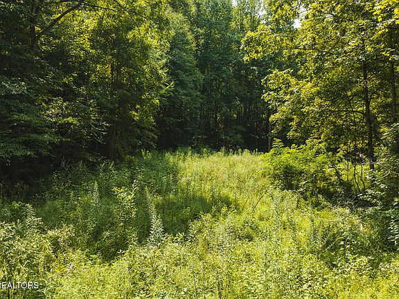 2nd image of 0 Snake Hollow Rd