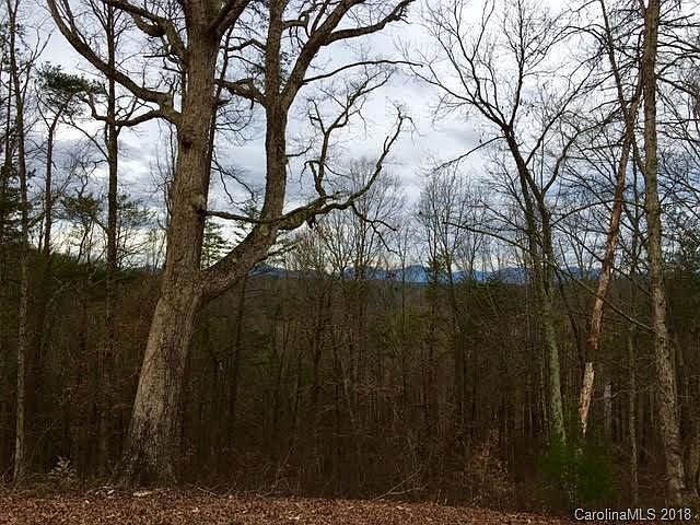 2nd image of 30 Tulip Poplar Trl #37