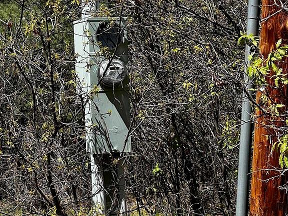 3rd image of 523 Oakridge Drive