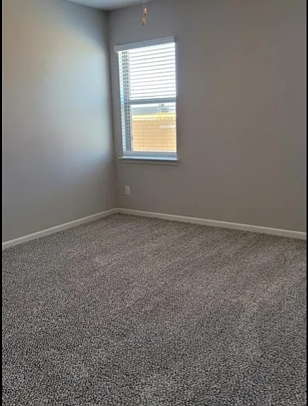 1917 Liam Dr — Photo 15