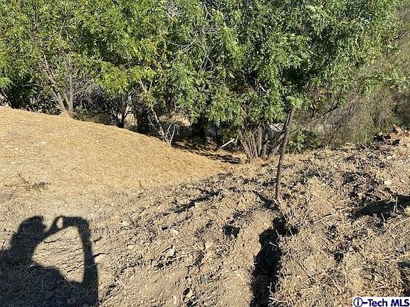 5th image of 3575 Mimosa Dr
