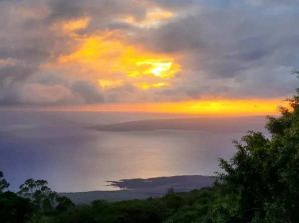 2239 Upper Kanaio Rd, Kula, HI 96790