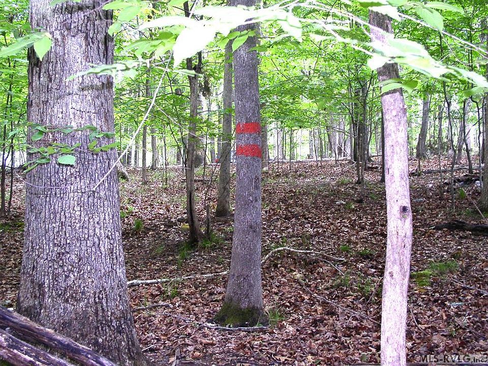1st image of 105 Oak Run Run