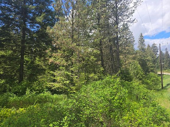 2nd image of 35XX Northport Flat Creek Rd
