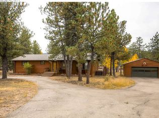 593 Hangmans Rd, Bailey, CO 80421