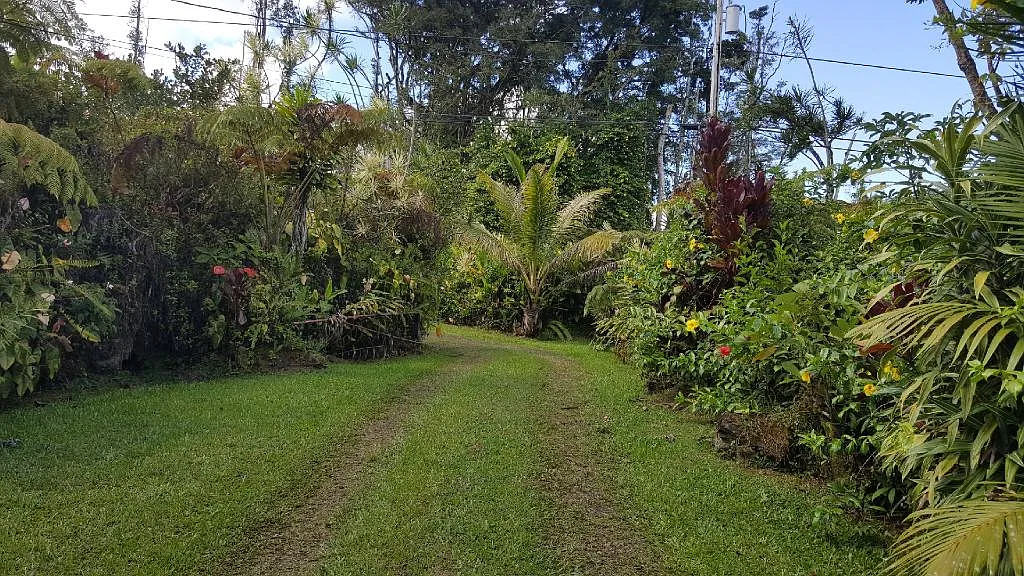 1 bed, 680 sqft, $1,650 — Photo 3