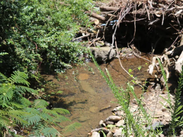 9 High Way, Clinton, AR 72031