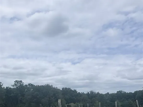 2350 NW 13TH AVENUE, LAKE PANASOFFKEE, FL 33538