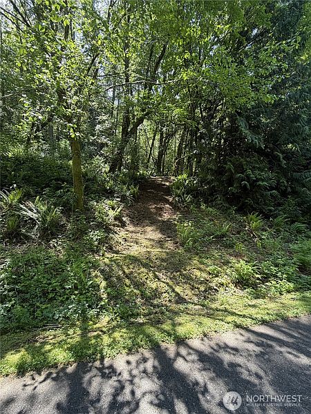 3rd image of 0 Squalicum Mountain Road