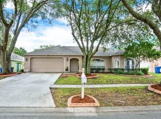 4203 Amber Ridge Ln, Valrico, FL 33594