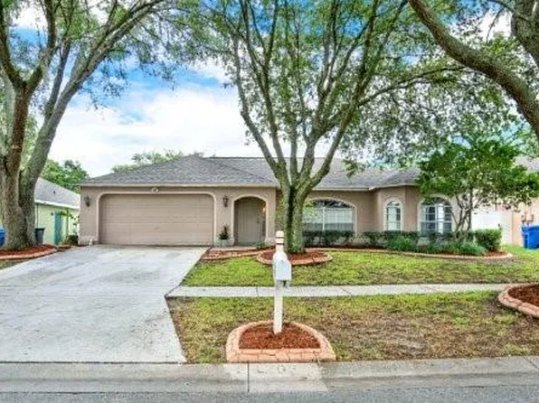 4203 Amber Ridge Ln, Valrico, FL 33594
