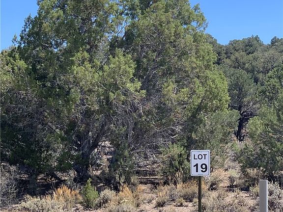 5th image of 5205 E Bird Creek Rd