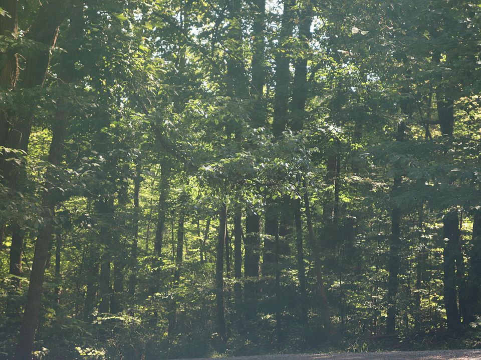 2nd image of Starr Mountain Rd