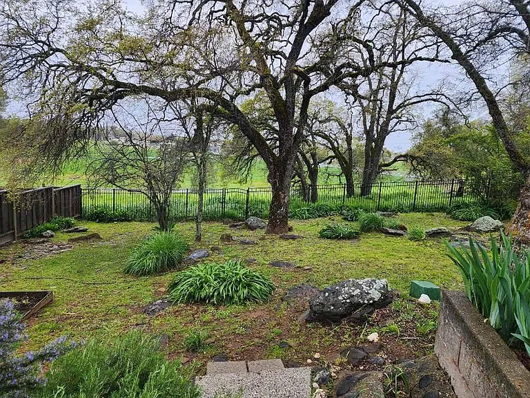 10301 Buena Vista Dr — Photo 18