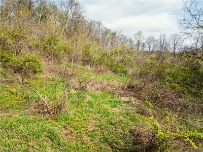 E Captina Highway Rd, Alledonia, OH, 43902
