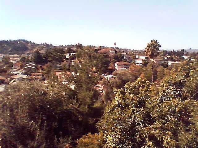 Gorgeous Views