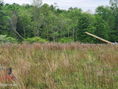 Dykes Rd Lot 3, Forksville, PA, 18616