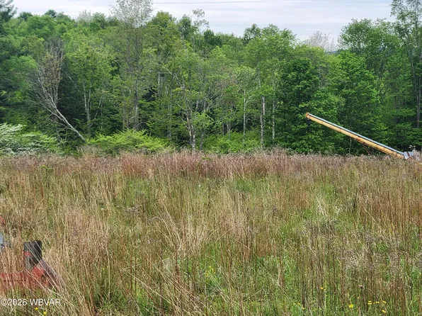 Dykes Rd Lot 3, Forksville, PA 18616