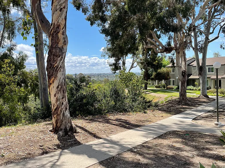 5073 La Cuenta Dr — Photo 14