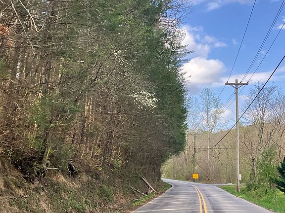 5th image of 228 Laurel Valley Rd