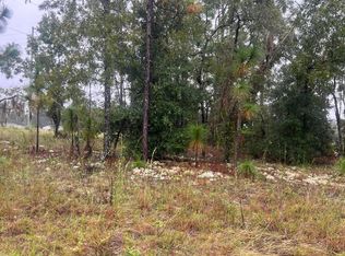 Tbd Stephens Street, Bronson, FL 32621