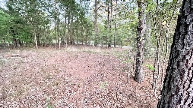2nd image of 149 Navasota
