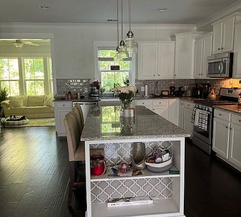 4th image of 1913 Carolina Towne Ct