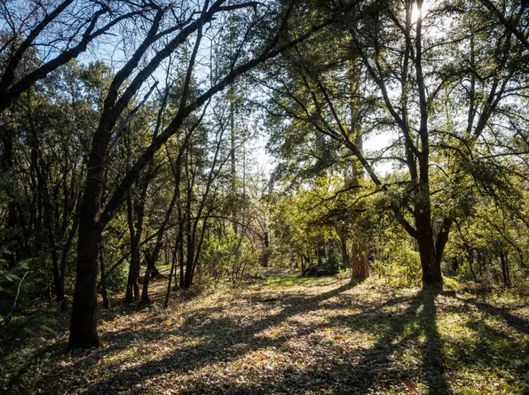 0 Buck Ridge Ct, Colfax, CA 95713
