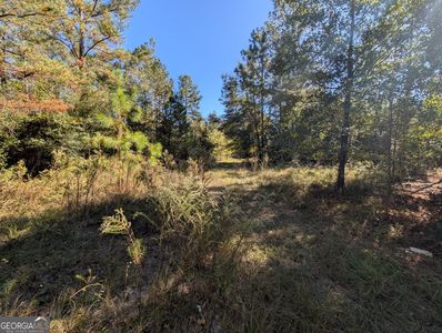 1300 S Palm St, Jesup, GA, 31546