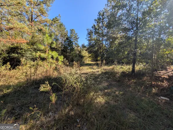 1300 S Palm St, Jesup, GA 31546