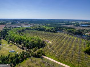 0 Edenfield Rd, Cobbtown, GA 30420