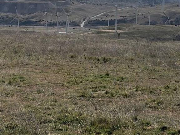 2nd image of 0 Cameron Rd