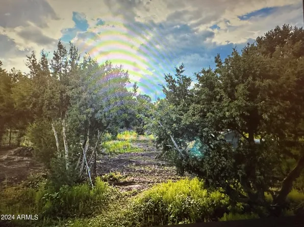 19 N 3129 -- #253, Vernon, AZ 85940