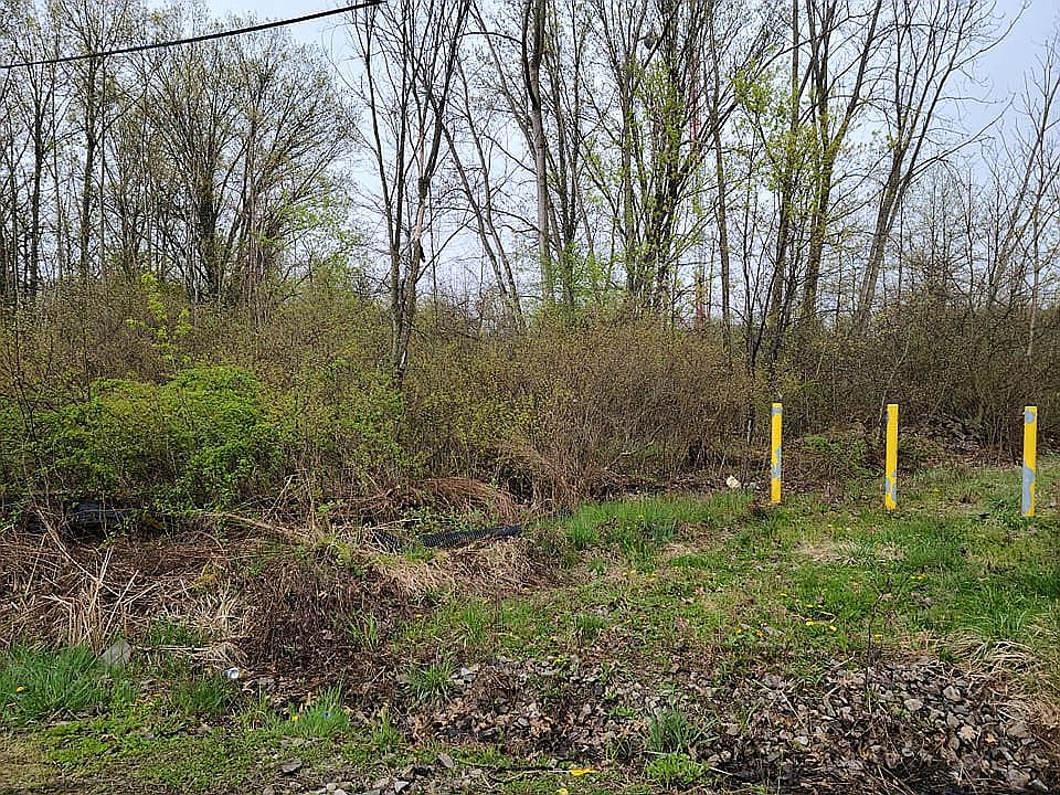 1st image of 19th Ave