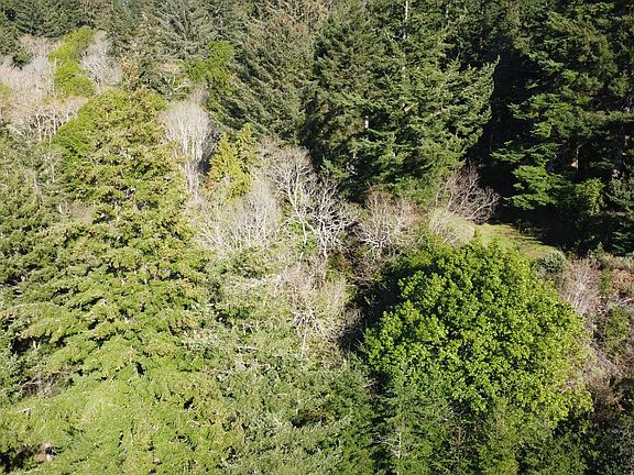 3rd image of Linn Ln